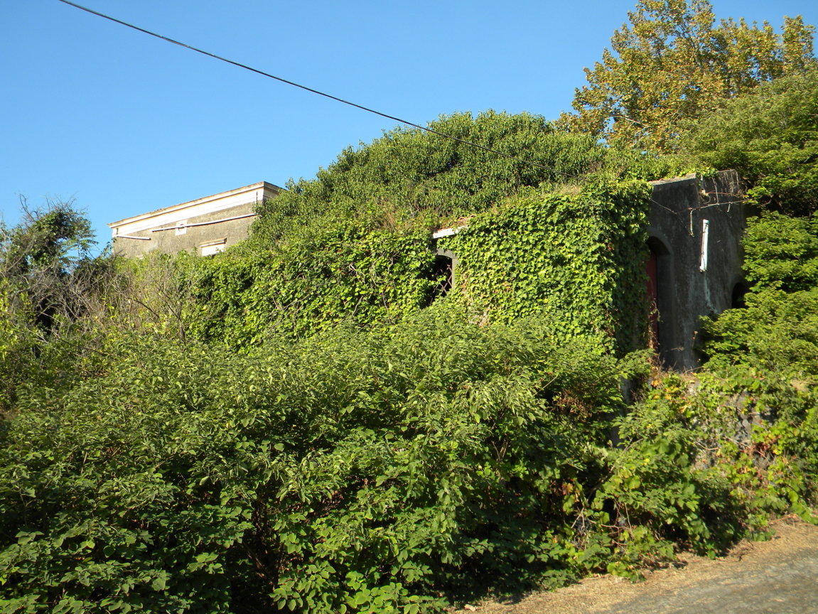 DSCN8056 .JPG